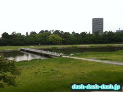 乙川南側の川原