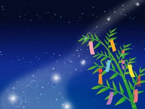 七夕の笹と短冊
