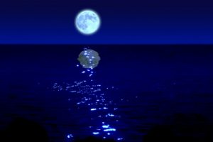 満月と海