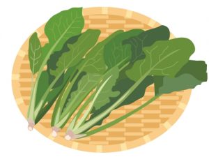 ざるの上のほうれん草のイラスト