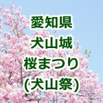 愛知県 犬山城の桜!2017年の祭り情報!屋台やライトアップを確認!