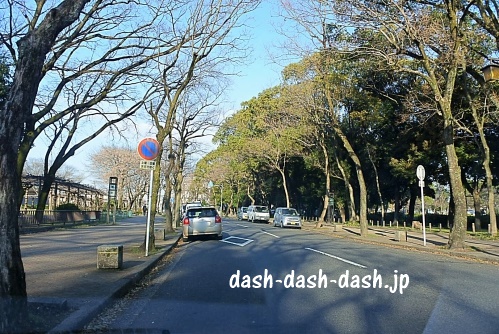 名古屋城(名城公園)道路