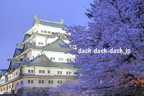 名古屋城と桜01