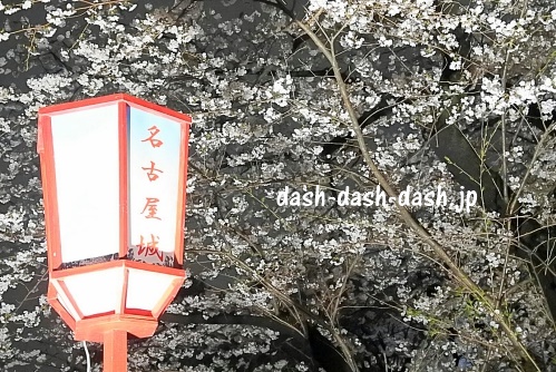 名古屋城の桜