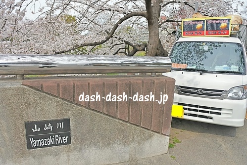 山崎川の桜03(焼き芋の移動販売車))