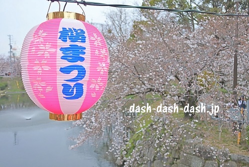岡崎公園(岡崎城)の桜05