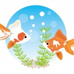 七夕の金魚を折り紙で!折り方で簡単なのはコレ!