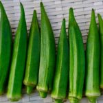 オクラの栄養!夏バテに効果的なのは?オススメの食べ方は?