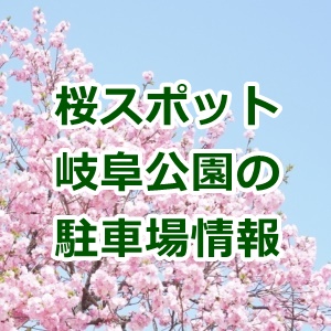岐阜公園の桜！駐車場からライトアップ情報まで一発チェック