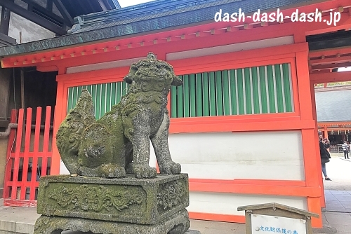 神門前狛犬(福岡住吉神社)