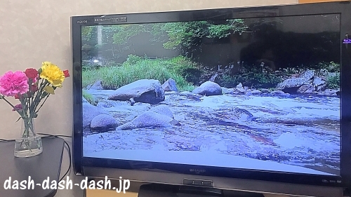 川のせせらぎ音(YouTube動画)