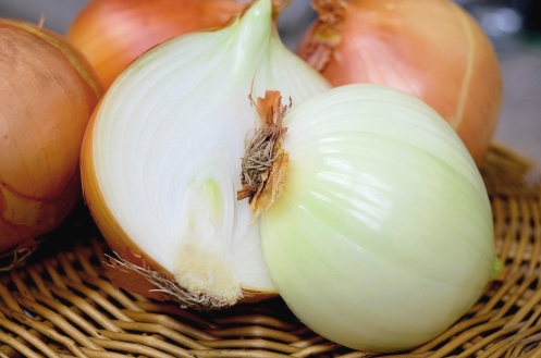 玉ねぎ(onion)