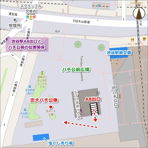 A8出口(東急東横線・田園都市線、東京メトロ半蔵門線・副都心線)とハチ公前広場の位置関係マップ02