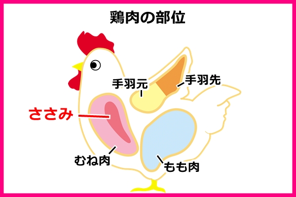 鶏肉の部位(ささみ)01