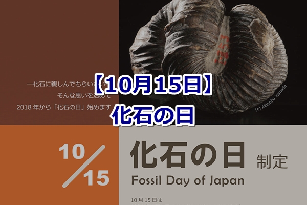 化石の日（10月15日）由来とクイズ！【化石のでき方は？】