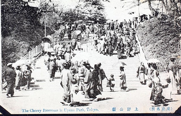 1919年頃の上野公園01