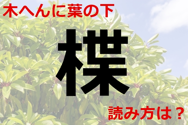 【木へんに葉の下】漢字「楪」の読み方は？｜植物名や名字など